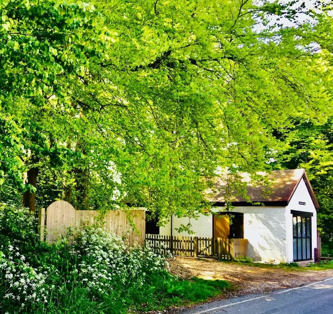 Beech Wood Lodge - Image 1