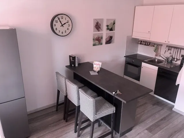 Elegant apartment in Lugano (BAM-App-52 YouTube) - Image 1