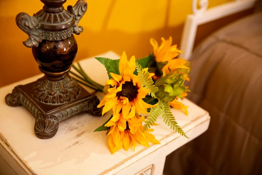 Casa dos Girassóis - Explore the beauty of the Alentejo! - Image 1