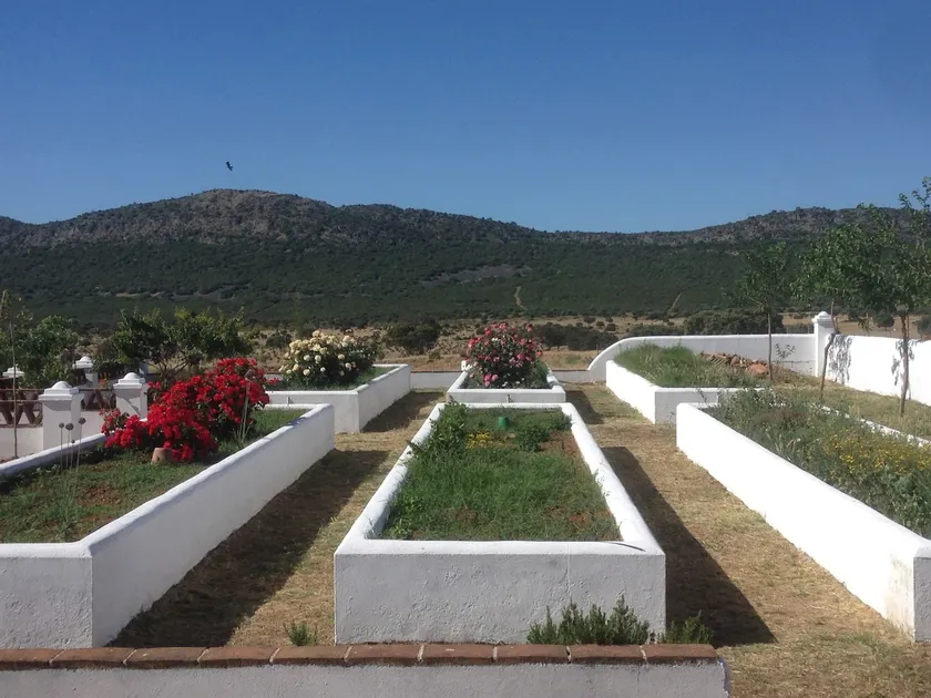Extremadura farmhouse in pasture - Image 1