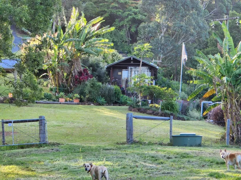Byron Bay Hinterland Cottage with Views - Image 1