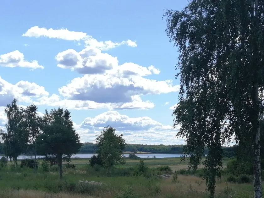 Lakefront home near nature & Strömsholm Slott - Image 1