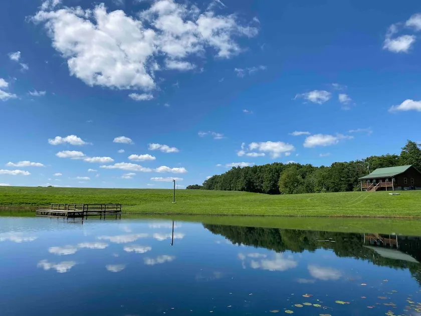 Cabin with private pond. A peaceful escape - Image 1
