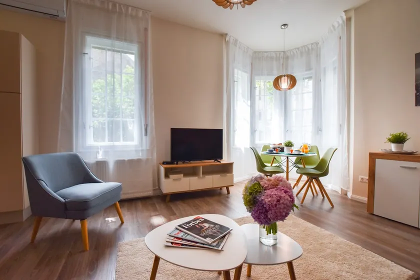 Christine Apartment close to the Buda Castle - Image 1