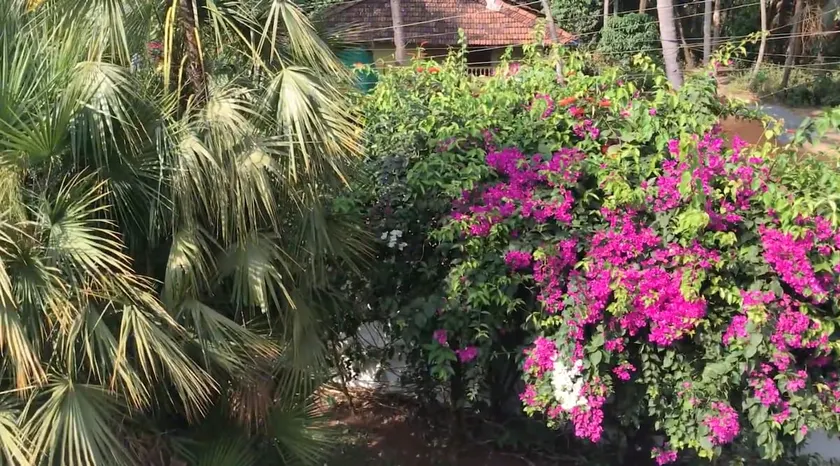 1 BHK Luxury Beachside Homestay in South Goa - Image 1