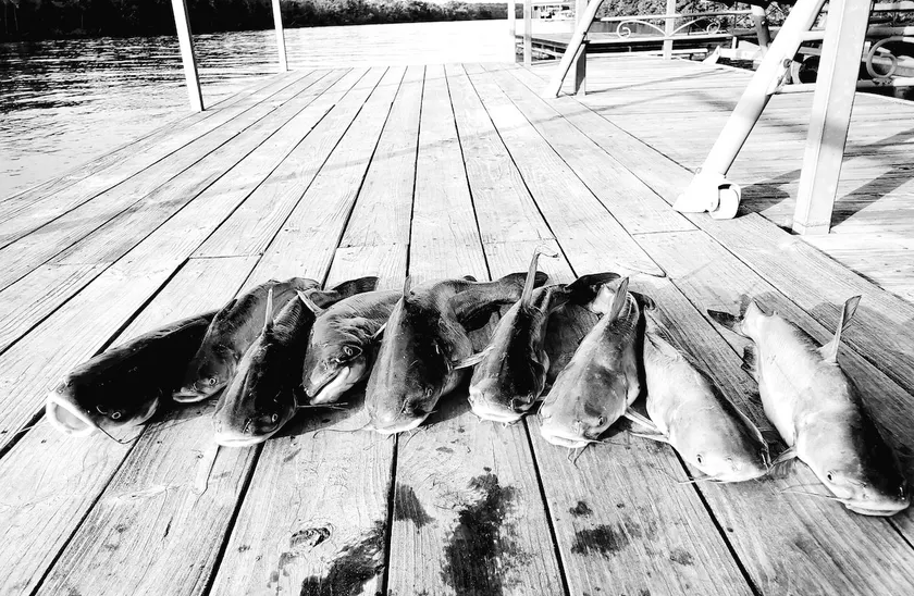 Lakehouse & Private Dock on Lake of the Ozarks! - Image 1