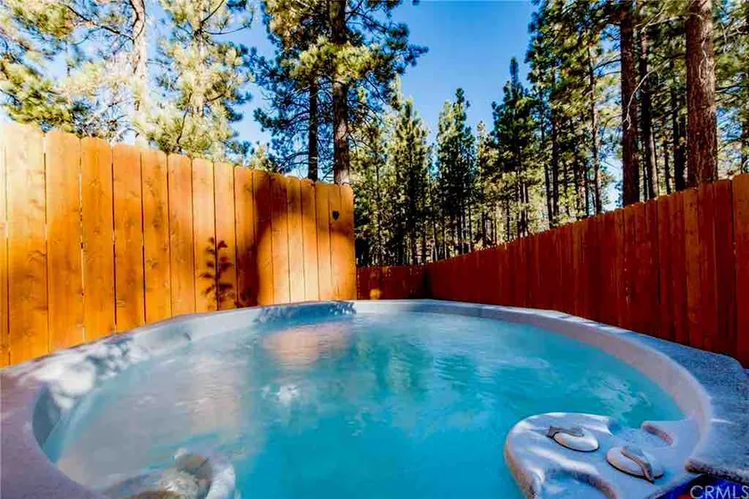 Jacuzzi Lake Vibes Gated Yard 4 Kids & Dogs BBQ - Image 1