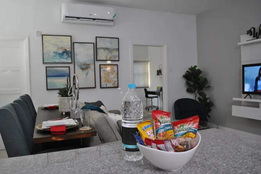 A New Gem in Kingston, 1 BR Modern Luxury Apt - Image 1
