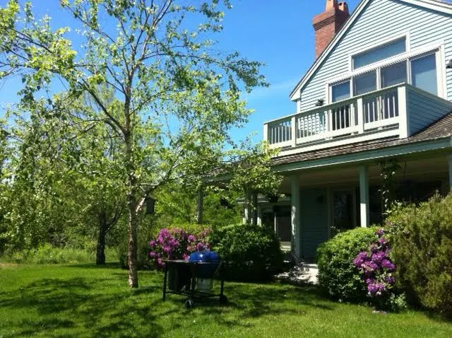 The Blue House - A HIDDEN GEM - Image 1