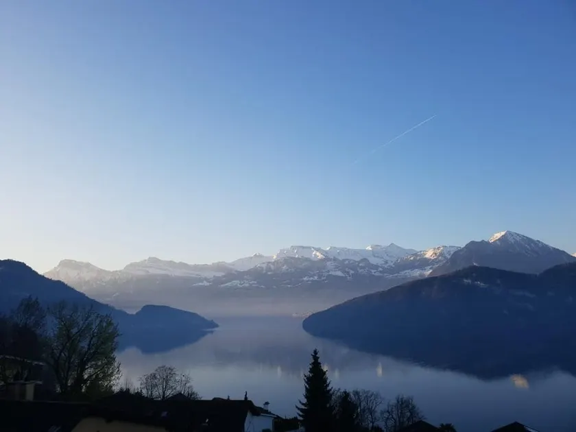 Oasis of calm | Dream view of the lake & mountains, Lucerne - Image 1