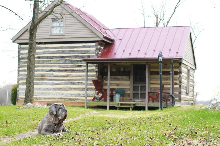 The Log Cabin - Image 1