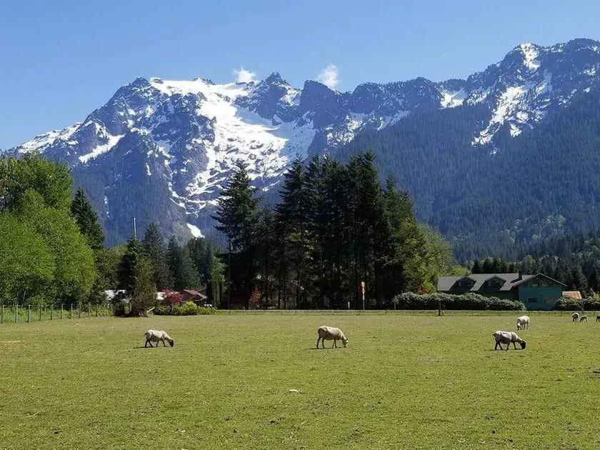 A Shepherd’s Retreat: Stunning Mountain View - Image 1