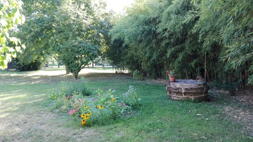 10 bis - Image 1