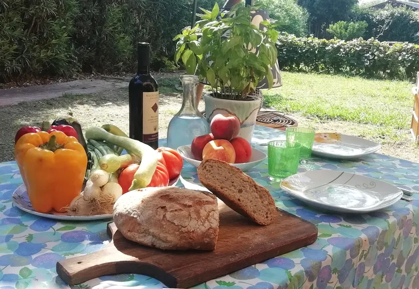 LA CASETTA House and garden, 100 meters from the sea - Image 1