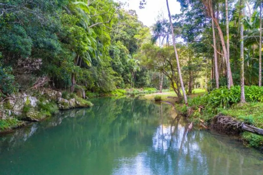 Rainforest Cabin 2 with Rock Pools & Spa Bath - Image 1