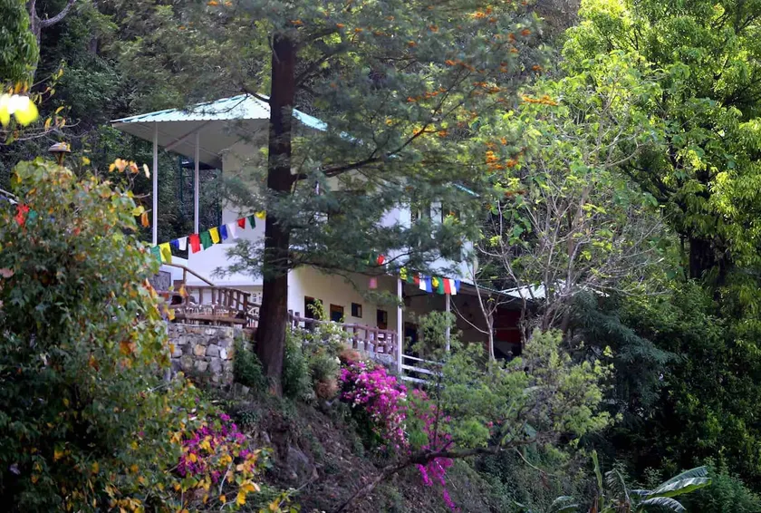 Sadhana Forest Villa 2 - Image 1