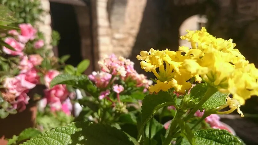 La Cure's Cabanon (Medieval Studio B&B) - Image 1