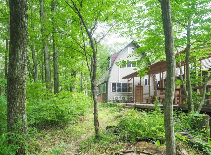A bungalow in the woods, with a large roofed deck for BBQ, table tennis, hammocks, and up to 23 people. - Image 1