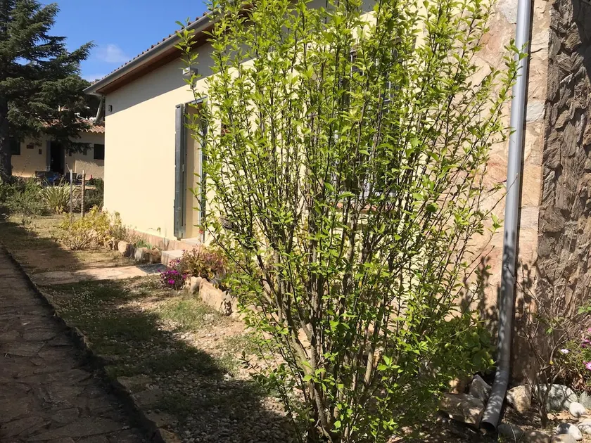 A house in a quiet place near La Fosca beach - Image 1