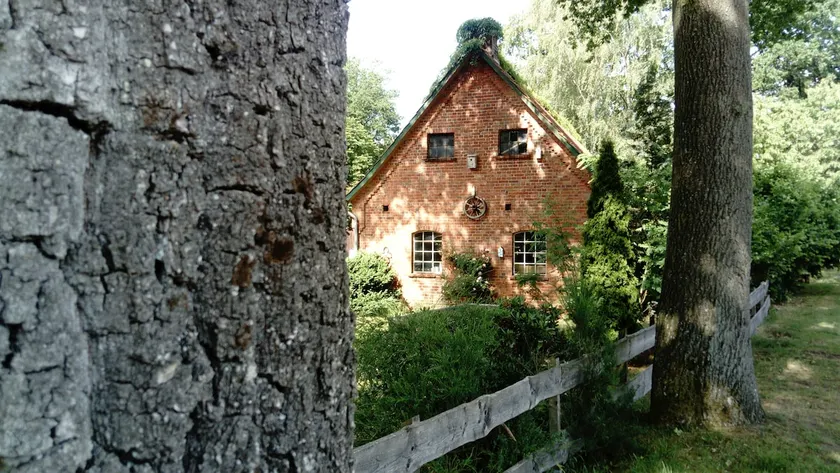 Férias, é claro - Heidehof Hibbing - Image 1