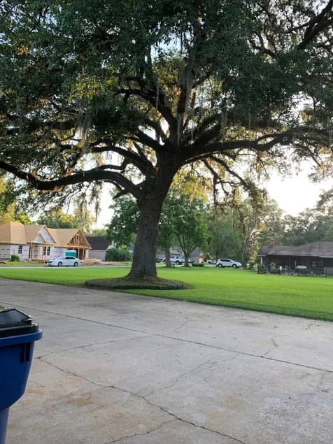 A little taste of Texas - Image 1