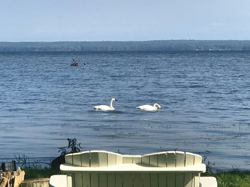Lakefront house on Oneida Lake, NY - Image 1