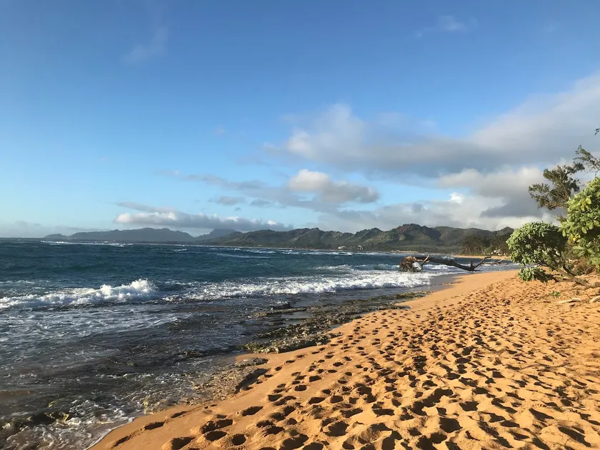 1BR Condo steps from Waipouli beach - Image 1