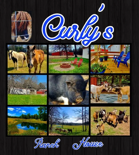 RANCH experience - minutes from Lake Athens - Image 1
