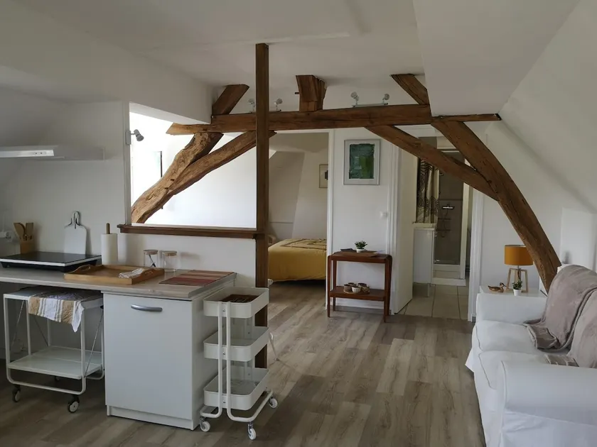 Cozy apartment near Chenonceau, Beauval Zoo. - Image 1