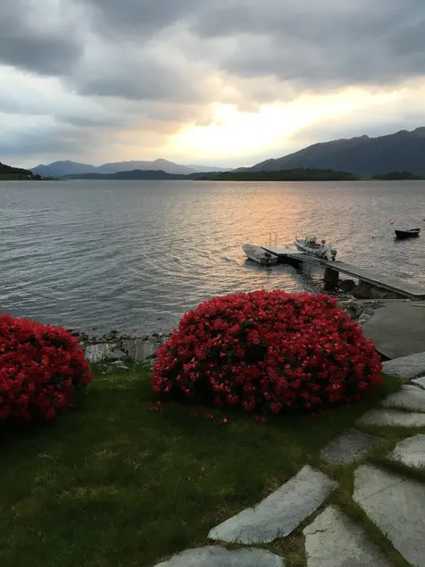 Cottage by the lake - Image 1