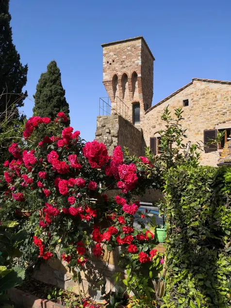 Apartment Fiorenza in the Chianti Classico region - Image 1