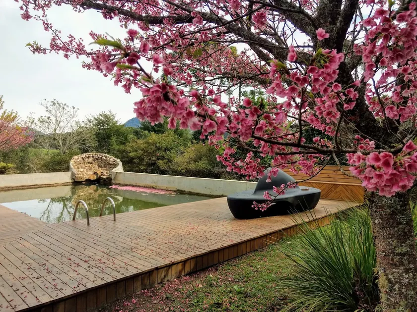 COUNTRY HOUSE IN THE SERRA CATARINENSE - Image 1