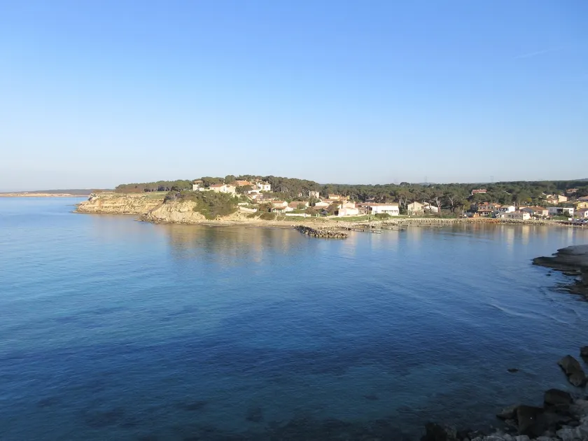 Cabin nestled in the pine forest, sea view - Image 1