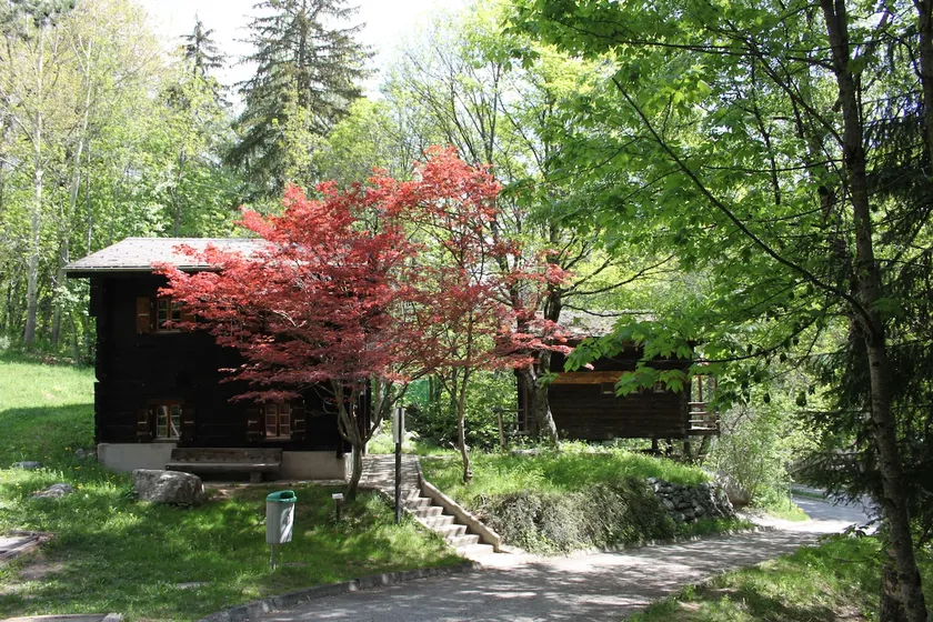 Rustikales Chalet AHORN, for free Hallenbad - Image 1