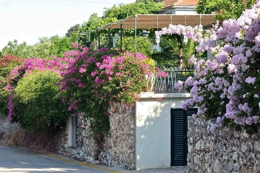 Villa Konstantina - Image 1