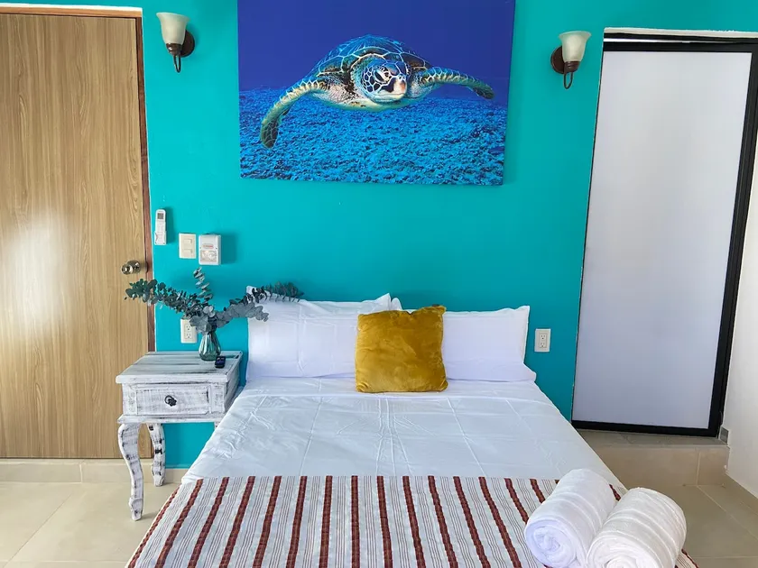 #1 Calamar House - Image 1
