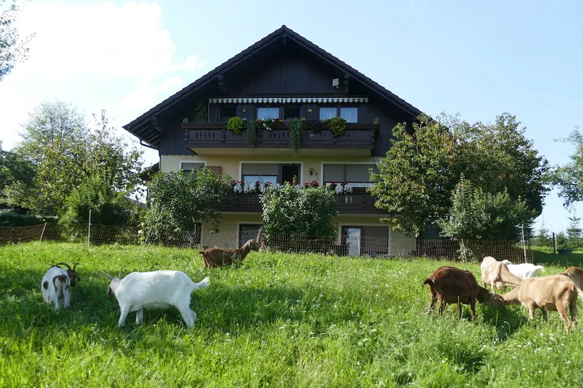 Vacation home on the organic farm - Image 1