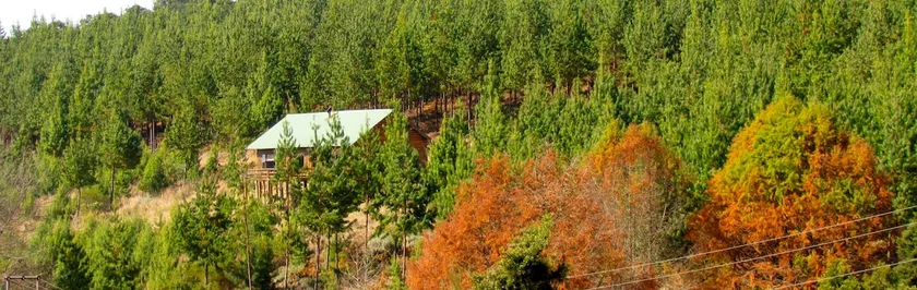 Single Storey Cabin at Stanford Lake Lodge - Image 1