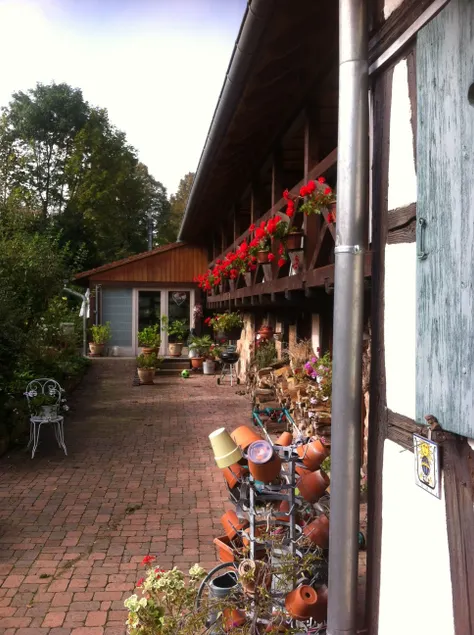 Sophie's cottage - Image 1