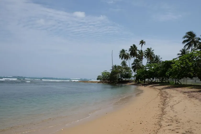 Discover Dorado and the Island of Puerto Rico! - Image 1