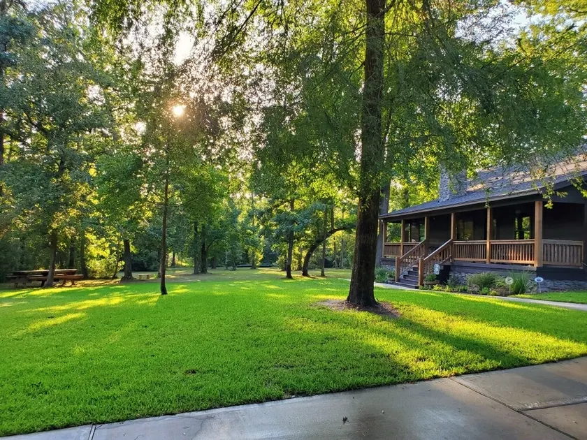Woodlands Retreat - Looks Rustic, Feels New - Image 1