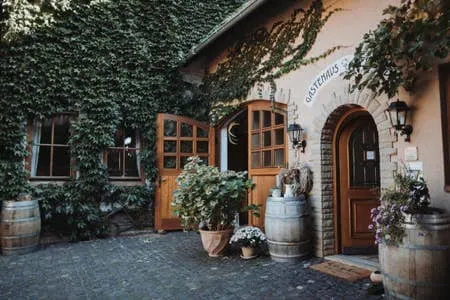 Vendersheim in the heart of Rheinhessen - Image 1