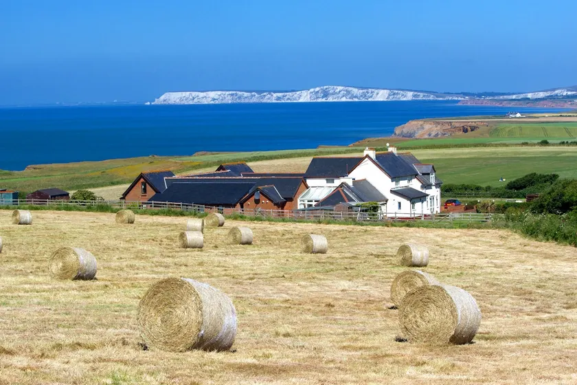 Chale Bay Farm - Image 1