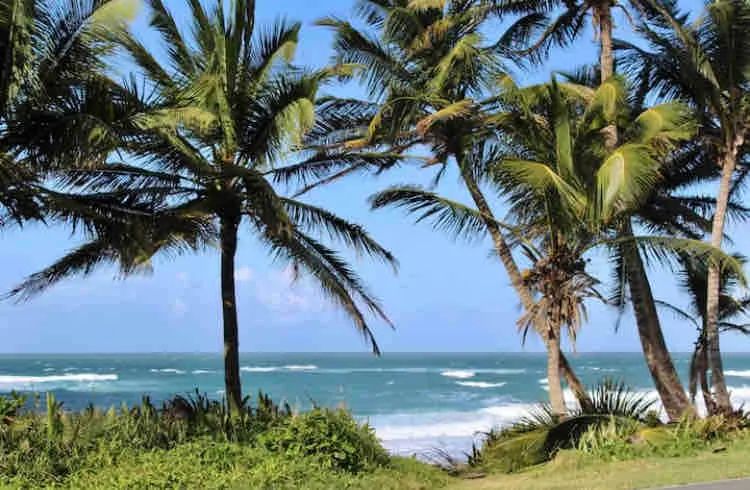 Enjoy beaches & nature @Marea Baja Beach House - Image 1