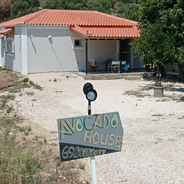 Avocado house - Image 1