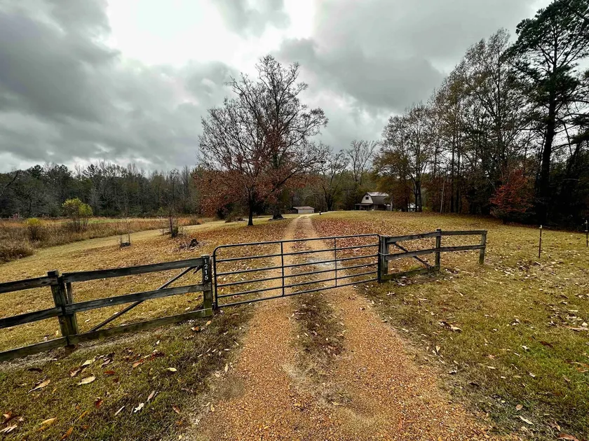 Cozy Cottage on Acreage - Image 1
