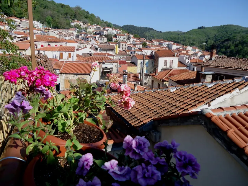 Live like a local!!! - Image 1