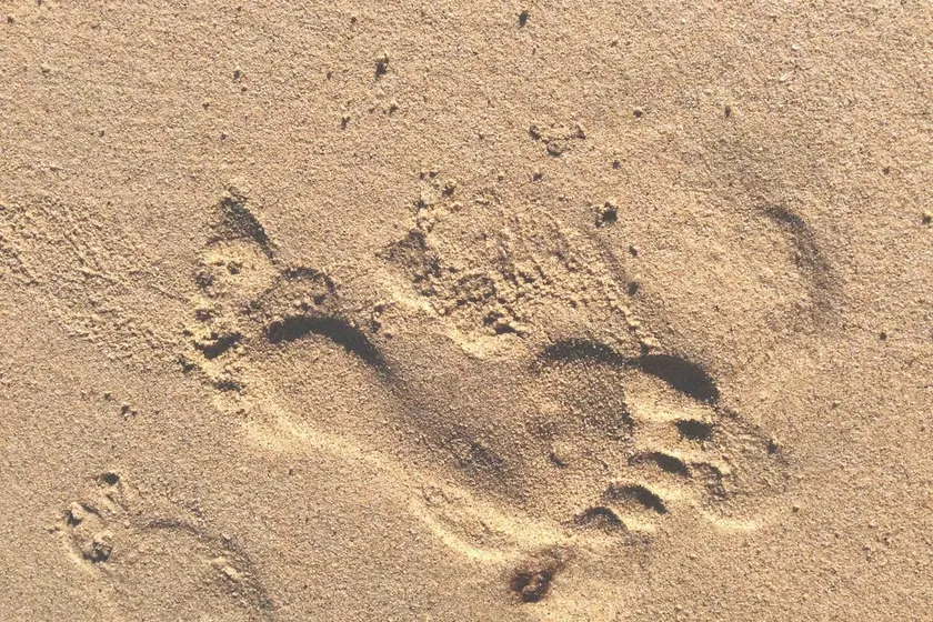 Vacation on the Baltic Sea beach… vacation home ”Moin Ostsee” - Image 1