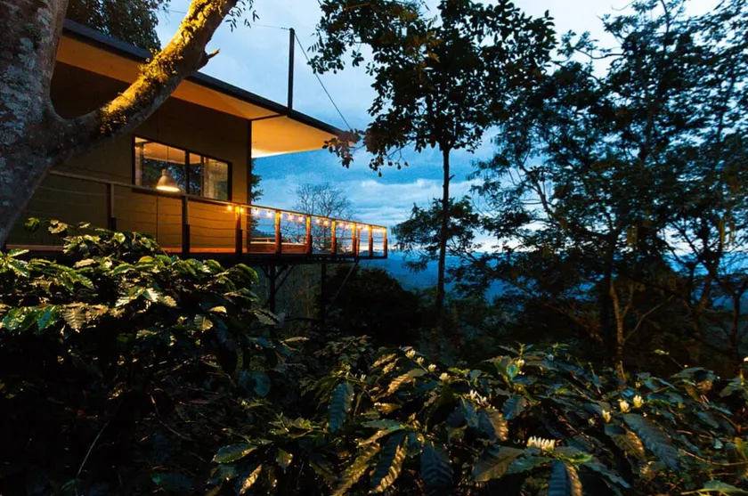Luxury Cabin Jungle - San Francisco - Image 1