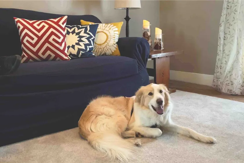 Cozy 2BR Pet Friendly 2nd FL - Long Stay Discounts - Image 1